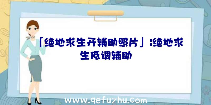 「绝地求生开辅助照片」|绝地求生低调辅助